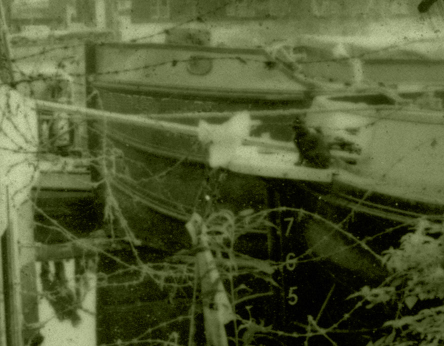 mark kozelek gent 2011