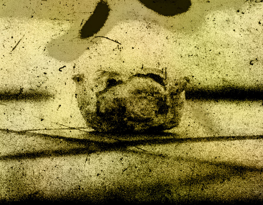 mark kozelek louisville 2008