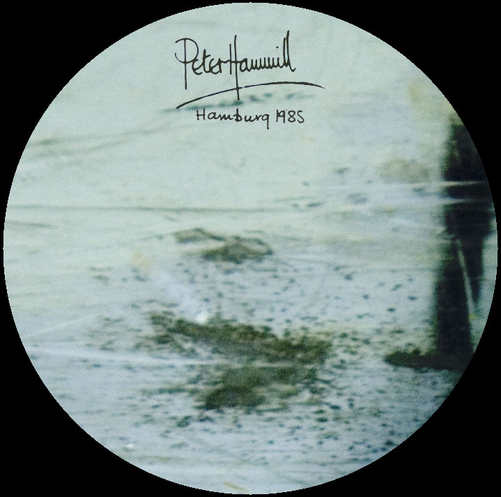 peter hammill hamburg 1985