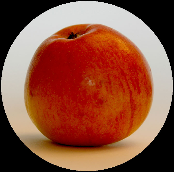 van der graaf manchester 77